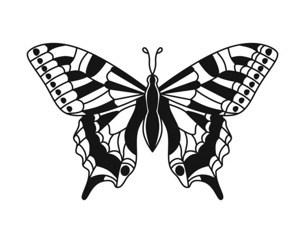 Butterfly Vector Drawing Closeup Used Web Design — Stock Vector