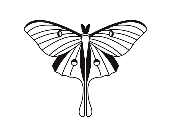 Mariposa Dibujo Vectorial Primer Plano Utilizado Para Diseño Web — Archivo Imágenes Vectoriales