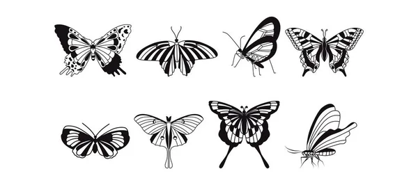 Collection Butterflies Vector Drawing Closeup Used Web Design — Stock Vector