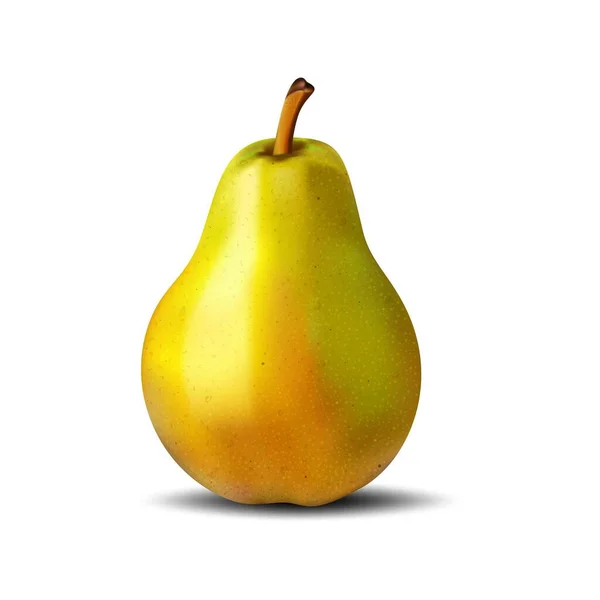 Poire Des Fruits Plante Vecteur Graphiques Fond Blanc Utilisé Pour — Image vectorielle