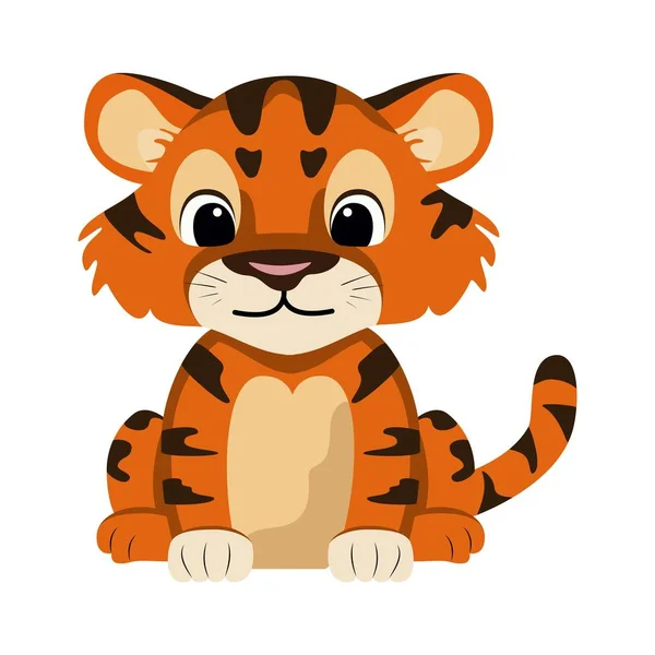 Little Tiger Cub Cute Wild Animal Predatory Mammal Feline Family — Stock Vector