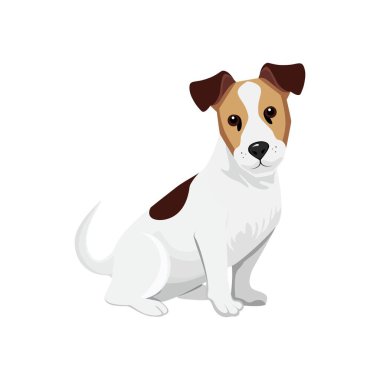 Köpek. Jack Russell Terrier cinsi. Çizgi film vektör stiliyle çizilmiş bir köpek. Evcil hayvan. Soylu köpek. Yazdırma, çıkartma, kolaj ve web tasarımı için kullanılır.. 