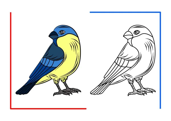 Bird Tit Antistress Coloring Book Children Vector Outline Drawing Color — Vettoriale Stock