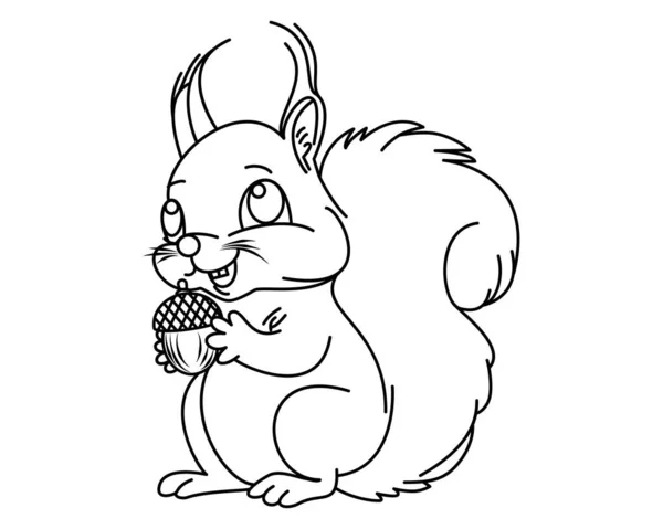 Lustiges Eichhörnchen Mit Eichel Comic Illustration Vektor Weißer Hintergrund Malbuch — Stockvektor