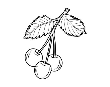 Kirazlar. Meyve. Katılım çizimi. Çocuklar için boyama kitabı. Simge. Beyaz arka plan. Tasarım, öğretim, baskı ve web tasarımı kavramı. Çıkartmalar, şablonlar ve şablonlar için de kullanılır..