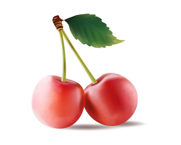 Una Ramita Cereza Berry Concepto Comida Puede Utilizar Diseño Web — Vector de stock