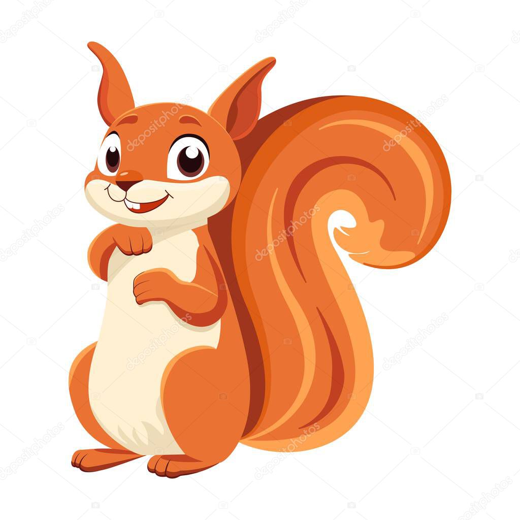 Squirrel. Cartoon drawing. Close-up. White background. For web design and print.