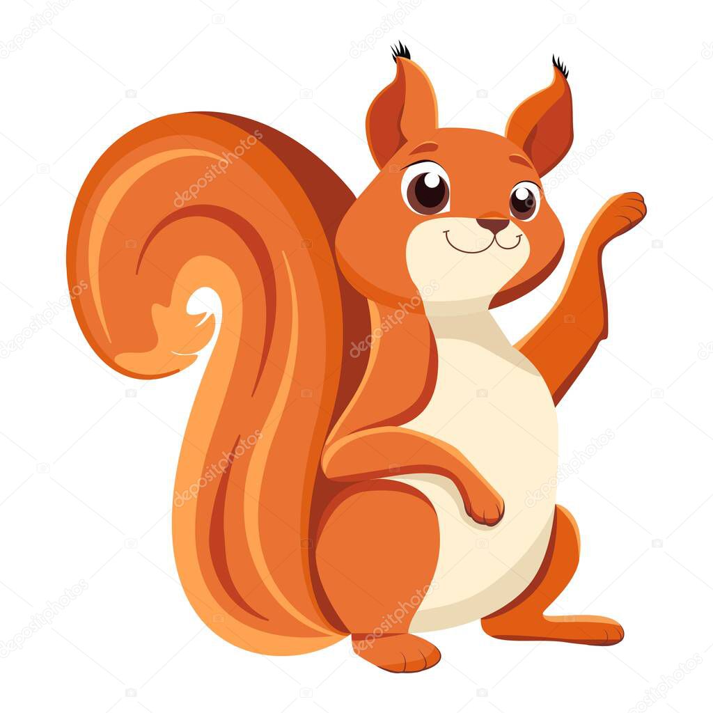 Squirrel. Cartoon drawing. Close-up. White background. For web design and print.