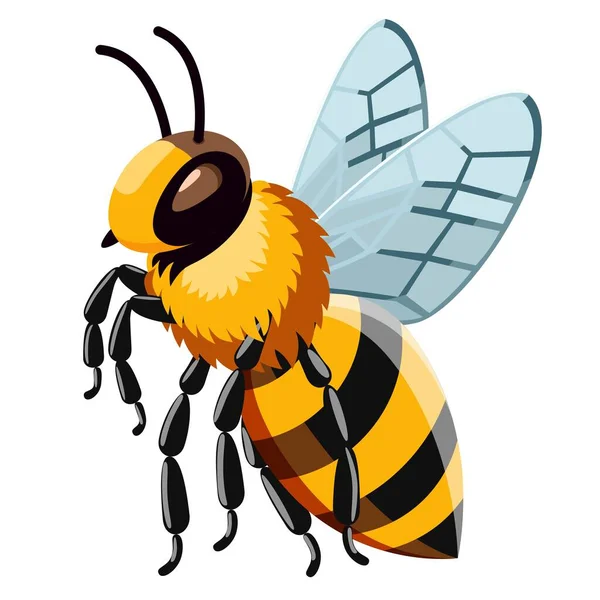 Arı. Uçan böcek. Yakın plan. Çizgi film çizimi. Web tasarım baskıları ve kolajlar için kullanılabilir.