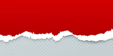 Kırmızı arkaplan ve şeffaf ızgaraya sahip gerçekçi yırtık kağıt kenarı, yırtık sayfa kenarı izole edilmiş, yatay gözyaşı etkisi, albüm, web sitesi, poster, pankart veya not biçimi için vektör tasarımı ögesi