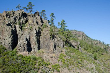 Nublo Kırsal Parkı 'ndaki Cliff. Aldea de San Nicolas. Büyük Kanarya. Kanarya Adaları. İspanya.