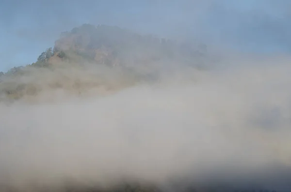 アルサンドラ山霧の中で Inaguaの総合自然保護区 テジェダ グラン カナリア カナリア諸島 スペイン — ストック写真