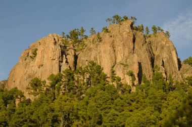 Morro de Pajonales 'in uçurumu. Integral Inagua Doğal Rezervi. Tejeda. Büyük Kanarya. Kanarya Adaları. İspanya.