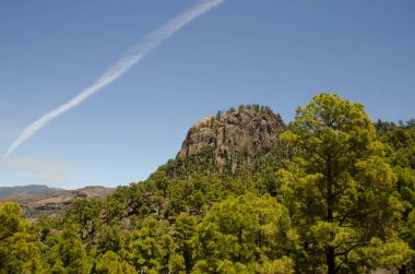 Morro de Pajonales ve Buhar Yolu. Pajonales. Integral Inagua Doğal Rezervi. Tejeda. Büyük Kanarya. Kanarya Adaları. İspanya.