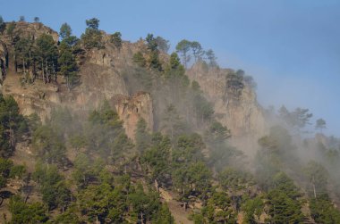 Morro de la Negra uçurumu siste. Integral Inagua Doğal Rezervi. Tejeda. Büyük Kanarya. Kanarya Adaları. İspanya.