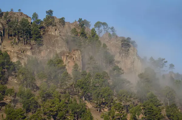 Morro de la Negra uçurumu siste. Integral Inagua Doğal Rezervi. Tejeda. Büyük Kanarya. Kanarya Adaları. İspanya.