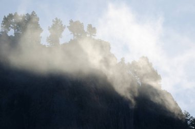 Morro de Pajonales sisteki uçurum. Integral Inagua Doğal Rezervi. Tejeda. Büyük Kanarya. Kanarya Adaları. İspanya.