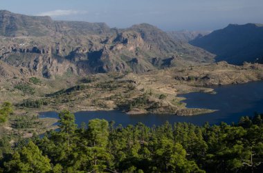 Las Ninas barajı. Nublo Kırsal Parkı. Büyük Kanarya. Kanarya Adaları. İspanya.