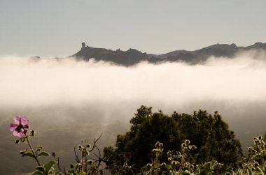 Solda Roque Nublo ve sağda Pico de Las Nieves. Nublo Kırsal Parkı. Büyük Kanarya. Kanarya Adaları. İspanya.