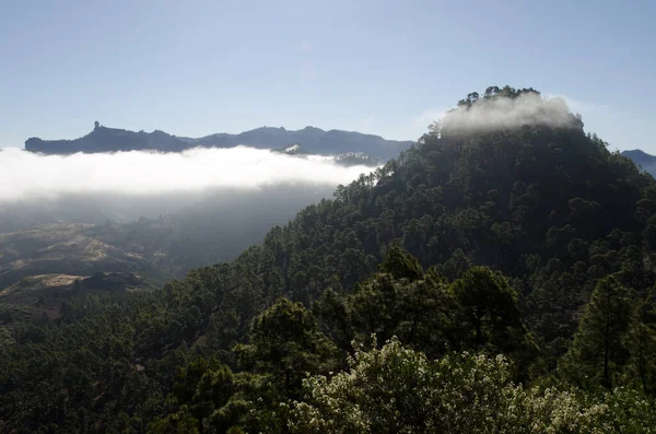 Solda Roque Nublo ve sağda Morro de La Negra. Inagua 'nın Doğal Rezervi ve Nublo Kırsal Parkı. Büyük Kanarya. Kanarya Adaları. İspanya.