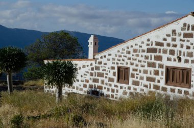 Mogan, 29 Mayıs 2018: Ojeda Orman Evi ve Kanarya Adaları ejderha ağacı Dracaena draco 'nun genç ağaçları. İnagua. Büyük Kanarya. Kanarya Adaları. İspanya.