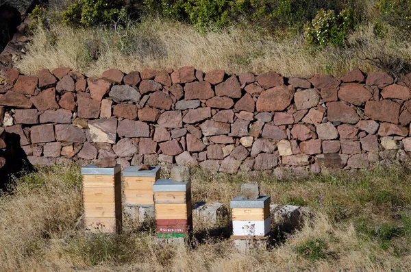 Mogan May 2018 Group Hives Integral Natural Reserve Inagua Gran — Stock Photo, Image