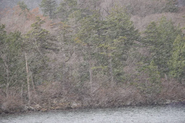 Ventisca Sobre Lago Yunoto Parque Nacional Nikko Japón — Foto de Stock
