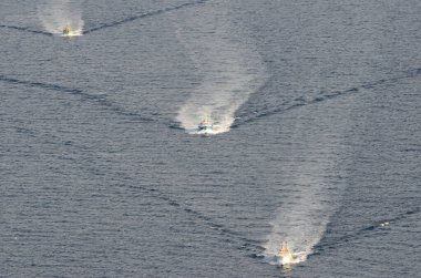 Limana dönen balıkçı tekneleri görüntüsü. Rausu. Shiretoko Yarımadası. Nemuro Kaymakamlığı, Hokkaido, Japonya.