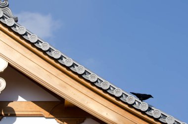 Bir Budist tapınağının çatısında leş kargası Corvus koronu. Kyoto. Japonya.