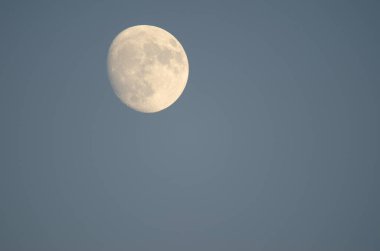 Waxing gibbous moon over Kiyosato. Hokkaido. Japan.