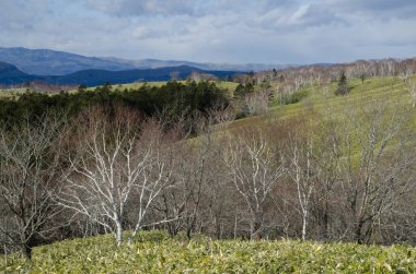 Akan Mashu Ulusal Parkı 'ndaki manzara. Hokkaido. Japonya.