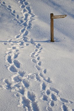 Karda insanların ayak izleri. Kushiro Shitsugen Ulusal Parkı. Kushiro. Hokkaido. Japonya.