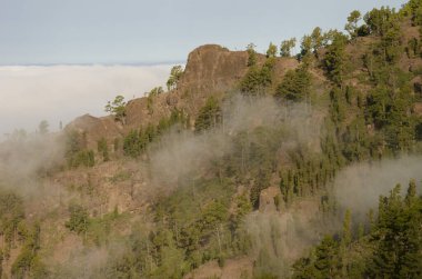 Morro del Visadero. Integral Inagua Doğal Rezervi. Tejeda. Büyük Kanarya. Kanarya Adaları. İspanya.