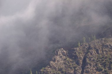 Sisin içinde manzara var. Nublo Kırsal Parkı. Tejeda. Büyük Kanarya. Kanarya Adaları. İspanya.