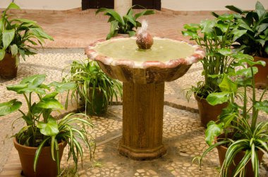 Casa Ordonez 'in avlusundaki çeşme. Bornos. Cadiz. Endülüs. İspanya.