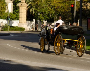 Seville, 28 Ekim 2023, Koç kırmızı ışıkta bekliyor. Endülüs. İspanya.