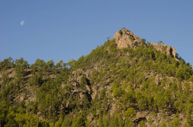 Morro de Pajonales uçurumu ve ay. Tejeda. Büyük Kanarya. Kanarya Adaları. İspanya.