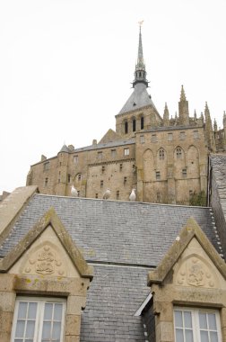 Mont-Saint-Michel Abbey ve Avrupa ringa martıları Larus Argentatus bir evde. Mont-Saint-Michel. Normandiya. Fransa.