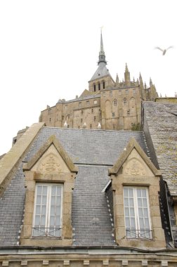 Mont-Saint-Michel Abbey ve Avrupa ringa martıları Larus Argentatus bir evde. Mont-Saint-Michel. Normandiya. Fransa.