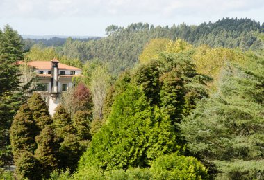 Bitkilerin arasında bir bina. La Alameda Parkı. Santiago de Compostela. Galiçya. İspanya.