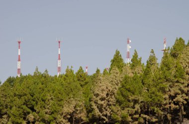 Radyo-elektrik tesisleri Kanarya Adası çam çamı kanaryasının üzerinde. Pico de La Gorra 'da. San Mateo 'da. Büyük Kanarya. Kanarya Adaları. İspanya.