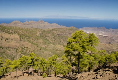 Inagua rezervi, Guigui Doğal Rezervi 'nin kayalıkları, La Aldea vadisi ve Tenerife adası. Büyük Kanarya. Kanarya Adaları. İspanya.