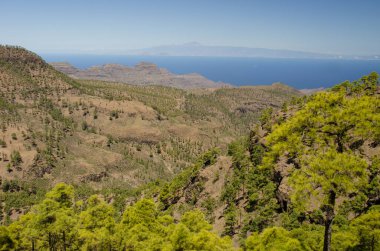 Integral Inagua Doğal Rezervi, Guigui Özel Doğal Rezervi 'nin kayalıkları ve Tenerife Adası. Büyük Kanarya. Kanarya Adaları. İspanya.