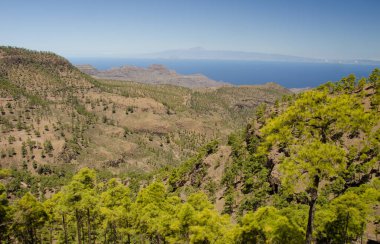 Integral Inagua Doğal Rezervi, Guigui Özel Doğal Rezervi 'nin kayalıkları ve Tenerife Adası. Büyük Kanarya. Kanarya Adaları. İspanya.