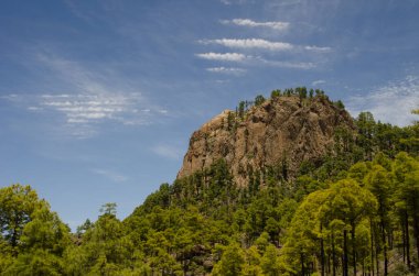 Morro de Pajonales uçurumu. Integral Inagua Doğal Rezervi. Tejeda. Büyük Kanarya. Kanarya Adaları. İspanya.