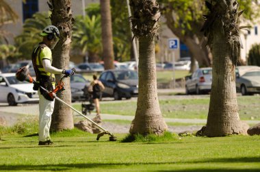 13 Ekim 2022, Maspalomas, bir bahçenin çimlerini biçen belediye çalışanı. Büyük Kanarya. Kanarya Adaları. İspanya.