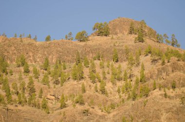 Arguineguin vadisindeki uçurum. Mogan. Büyük Kanarya. Kanarya Adaları. İspanya.