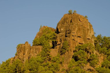 Morro de La Negra 'nın uçurumu. Integral Inagua Doğal Rezervi. Tejeda. Büyük Kanarya. Kanarya Adaları. İspanya.
