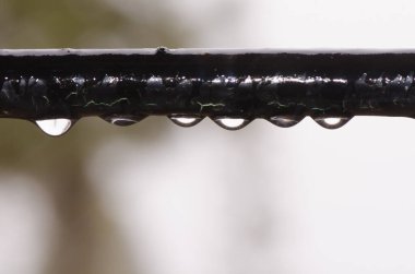 Su bir pencerenin altına damlıyor. Cruz de Pajonales. Tejeda. Büyük Kanarya. Kanarya Adaları. İspanya.