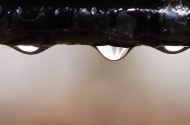 Su bir pencerenin altına damlıyor. Cruz de Pajonales. Tejeda. Büyük Kanarya. Kanarya Adaları. İspanya.